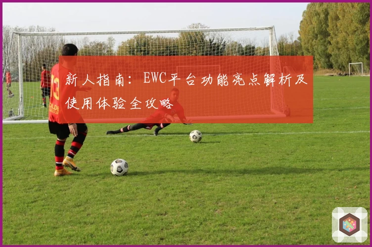 新人指南：EWC平台功能亮点解析及使用体验全攻略