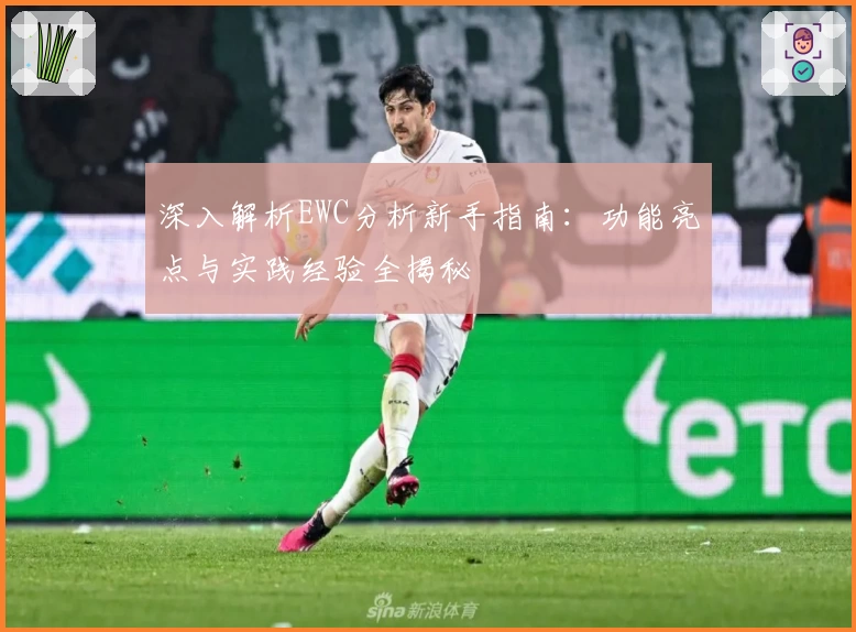 深入解析EWC分析新手指南：功能亮点与实践经验全揭秘