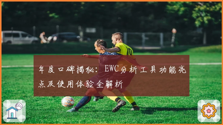 年度口碑揭秘：EWC分析工具功能亮点及使用体验全解析