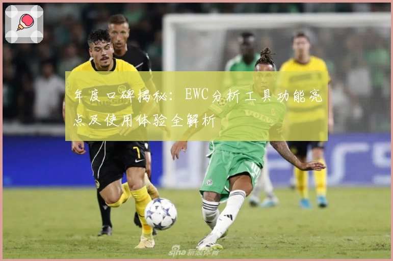 年度口碑揭秘：EWC分析工具功能亮点及使用体验全解析