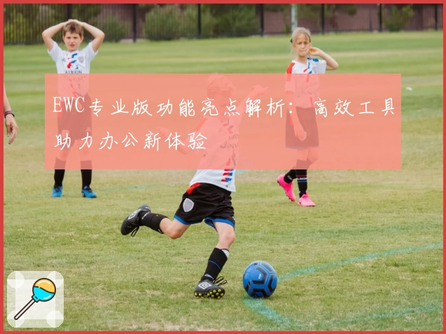 EWC专业版功能亮点解析：高效工具助力办公新体验
